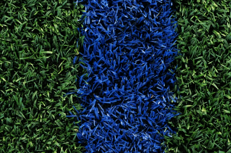 a close up of grass with blue and green stripes