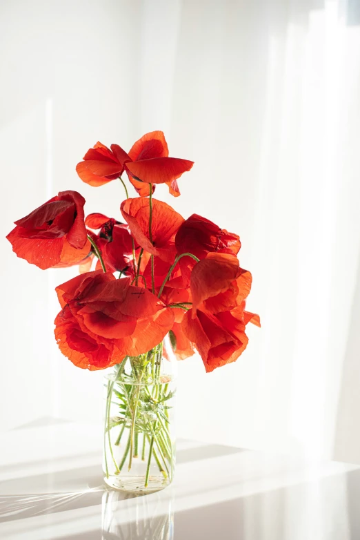 a vase filled with red flowers sitting on a table