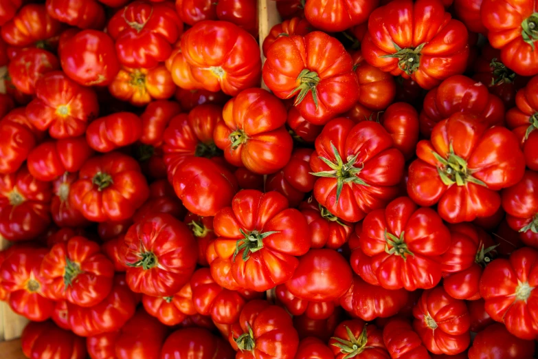 many red tomatoes have been arranged for sale