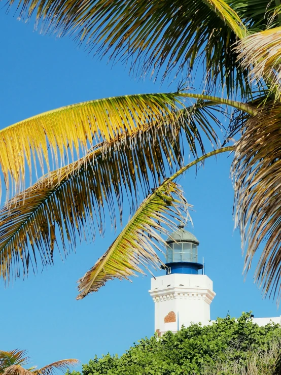 a light house is behind some palm trees