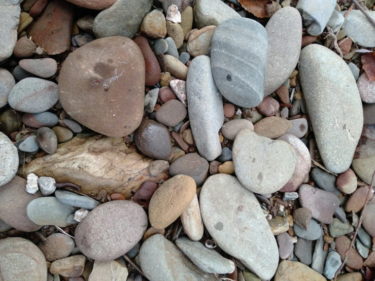 a bunch of pebbles with some white and gray rocks