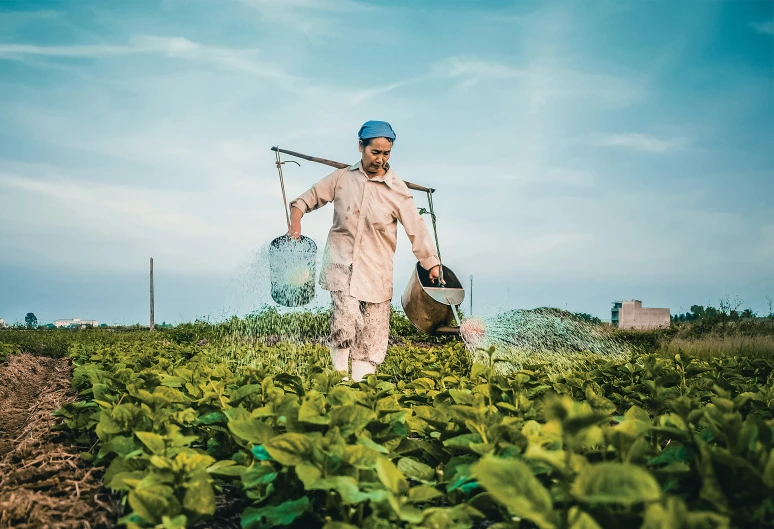 a man is watering crops in a field