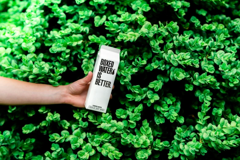 a person holds a box of white paint over green foliage