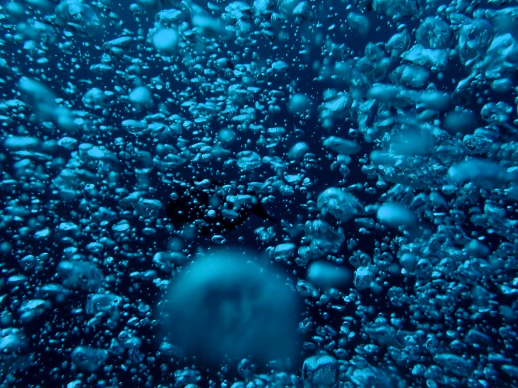 an aerial po of a liquid - filled surface