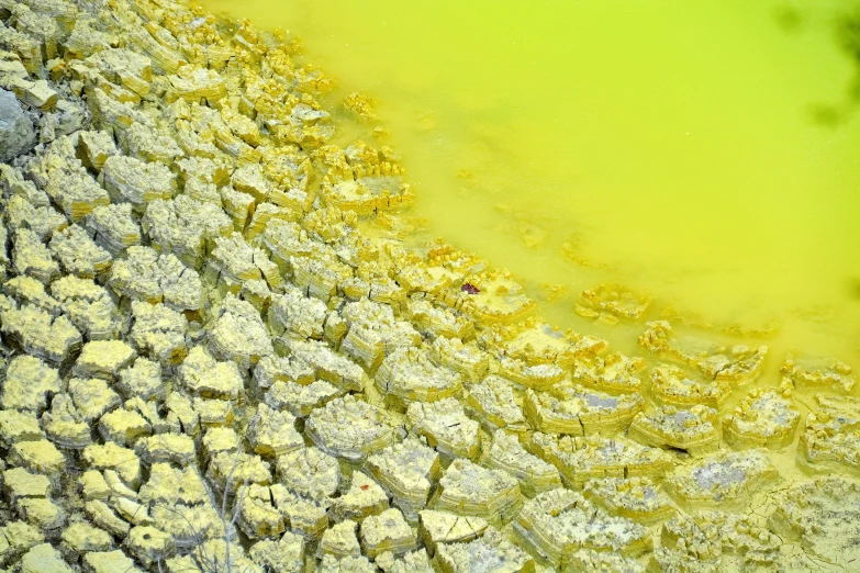 a view of the surface of the ground is made up