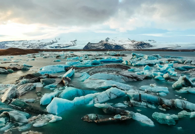 there are many pieces of ice in the water