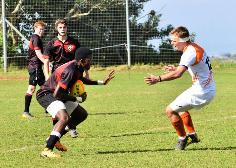 some soccer players are playing on the grass