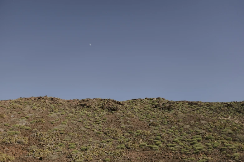 a man standing on a hill looking down at the ground