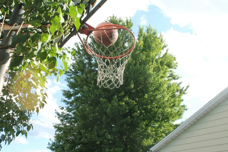 a basketball is in the net with some trees around