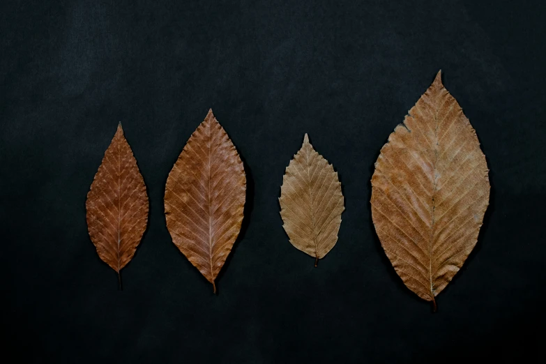 four dried leaves that have been painted to look like a leaf