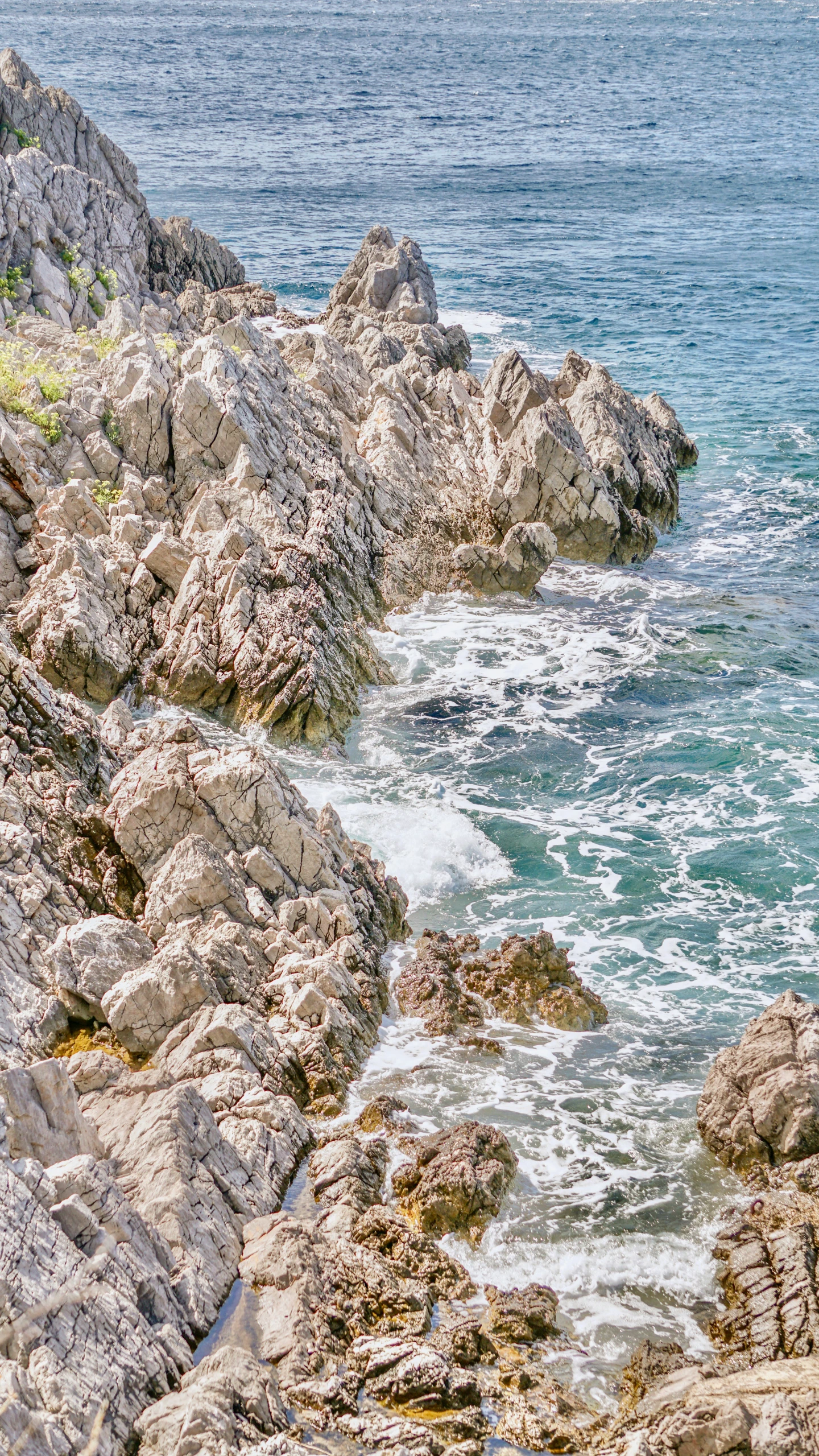 two men stand on top of rocks looking out over the ocean