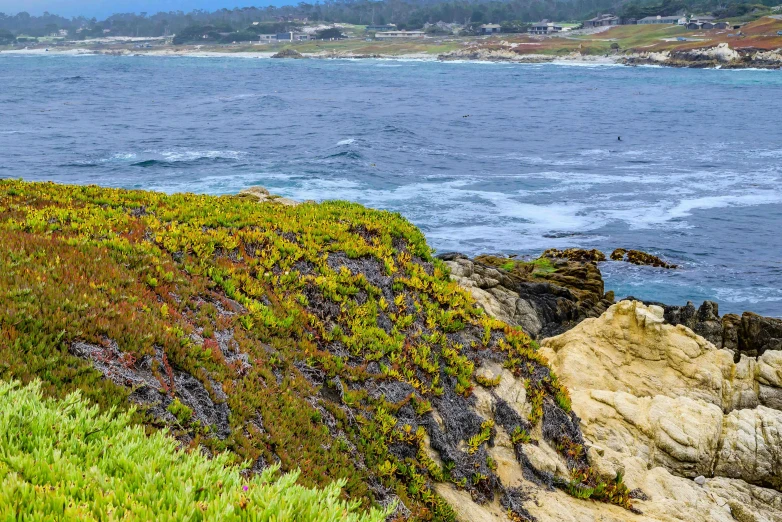 some water and grass near a cliff