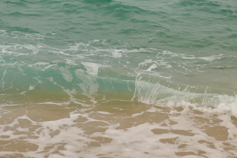 a beach that has very little waves coming in