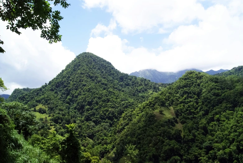 the mountains are covered in trees and grass