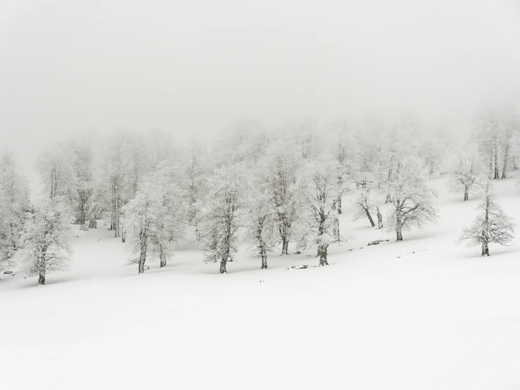 a person skiing down a snow covered ski slope