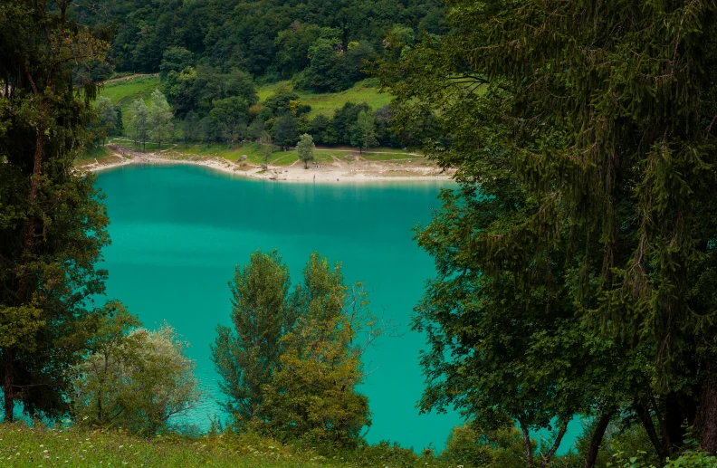 a view of a body of water between trees