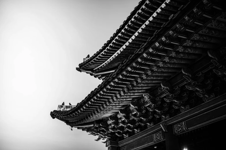 a very tall building with birds flying below it