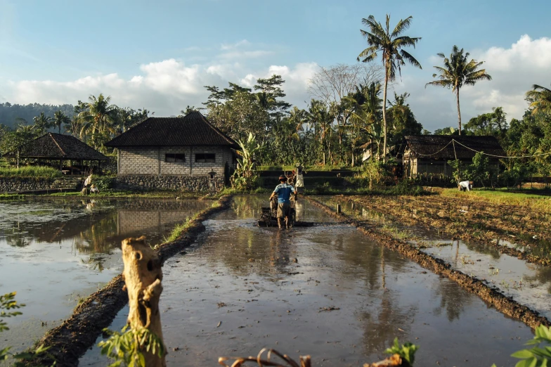 two people riding horses down a flooded road