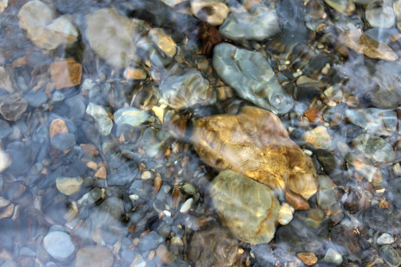 a bunch of rocks laying on top of each other