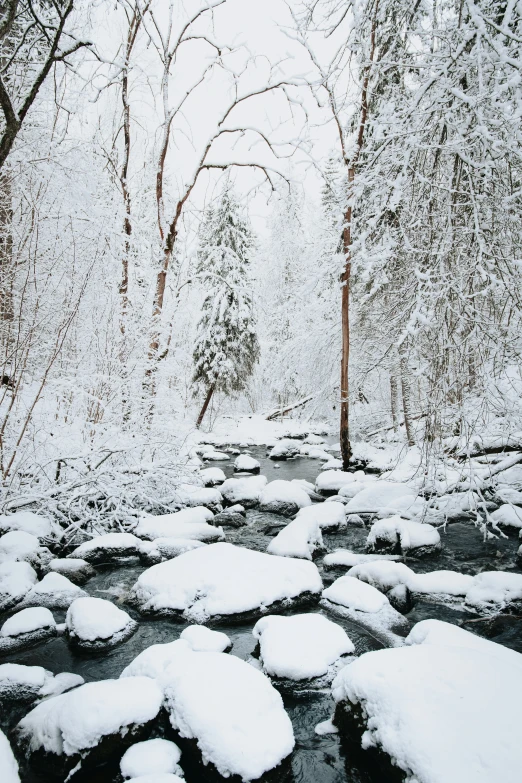 the water has just covered with snow and rocks