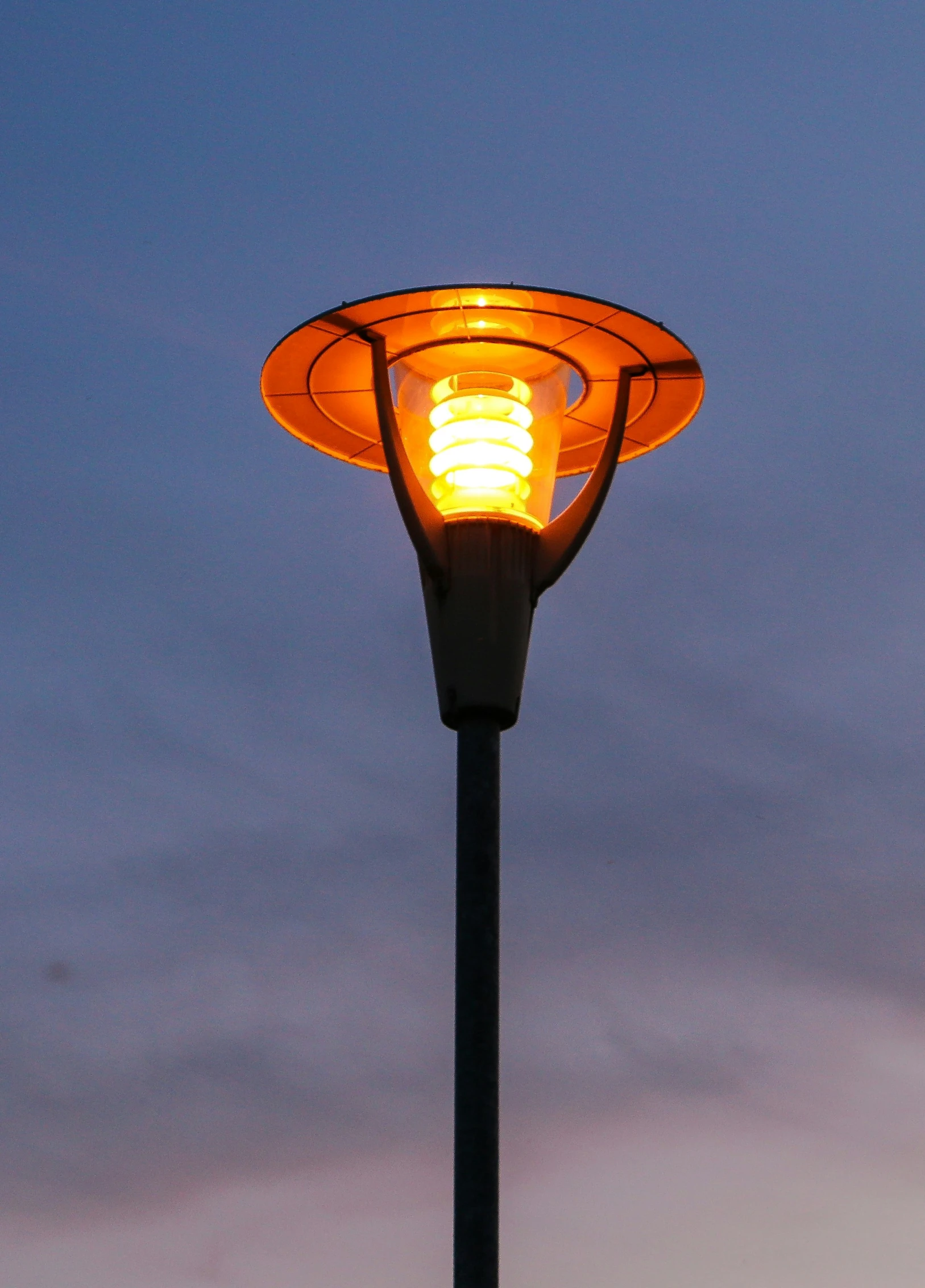 a streetlight is lit in the dark, against a clear sky