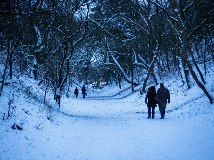 a couple walking through the forest in winter