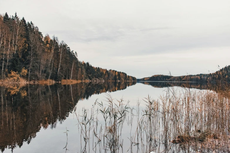 the water with the trees in the background is still very clear