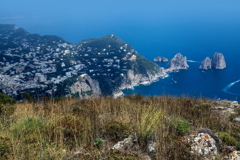 a grassy hillside next to the ocean and a body of water