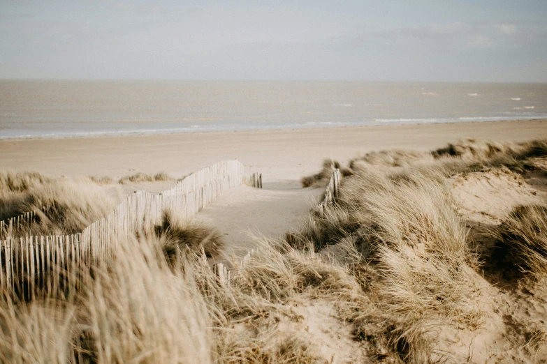 a trail leading up to a sandy beach