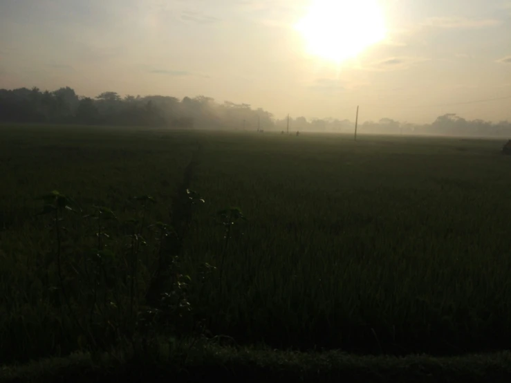 a field with the sun rising up behind it