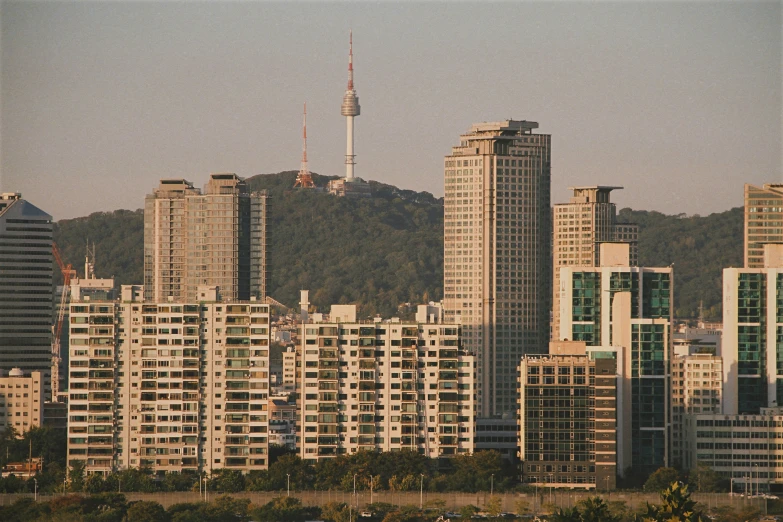 many large tall buildings near one another