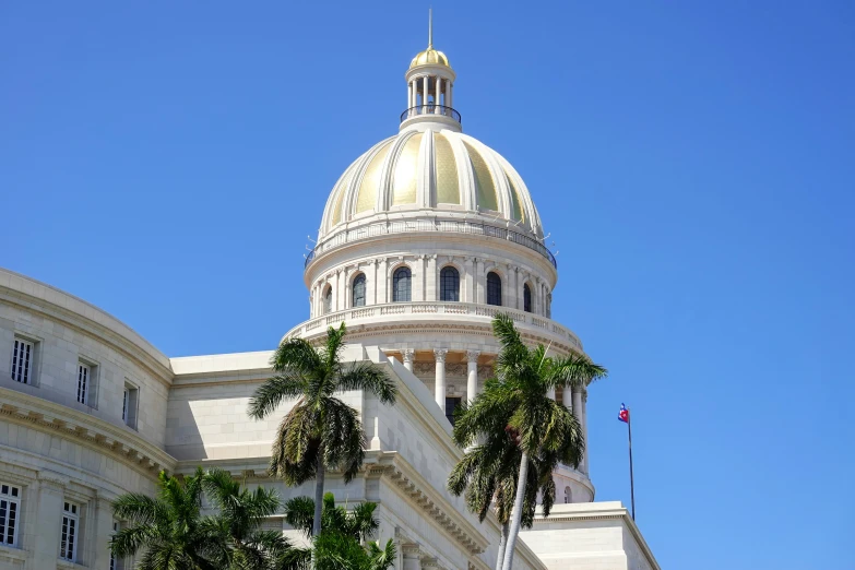 a domed building with palm trees in front