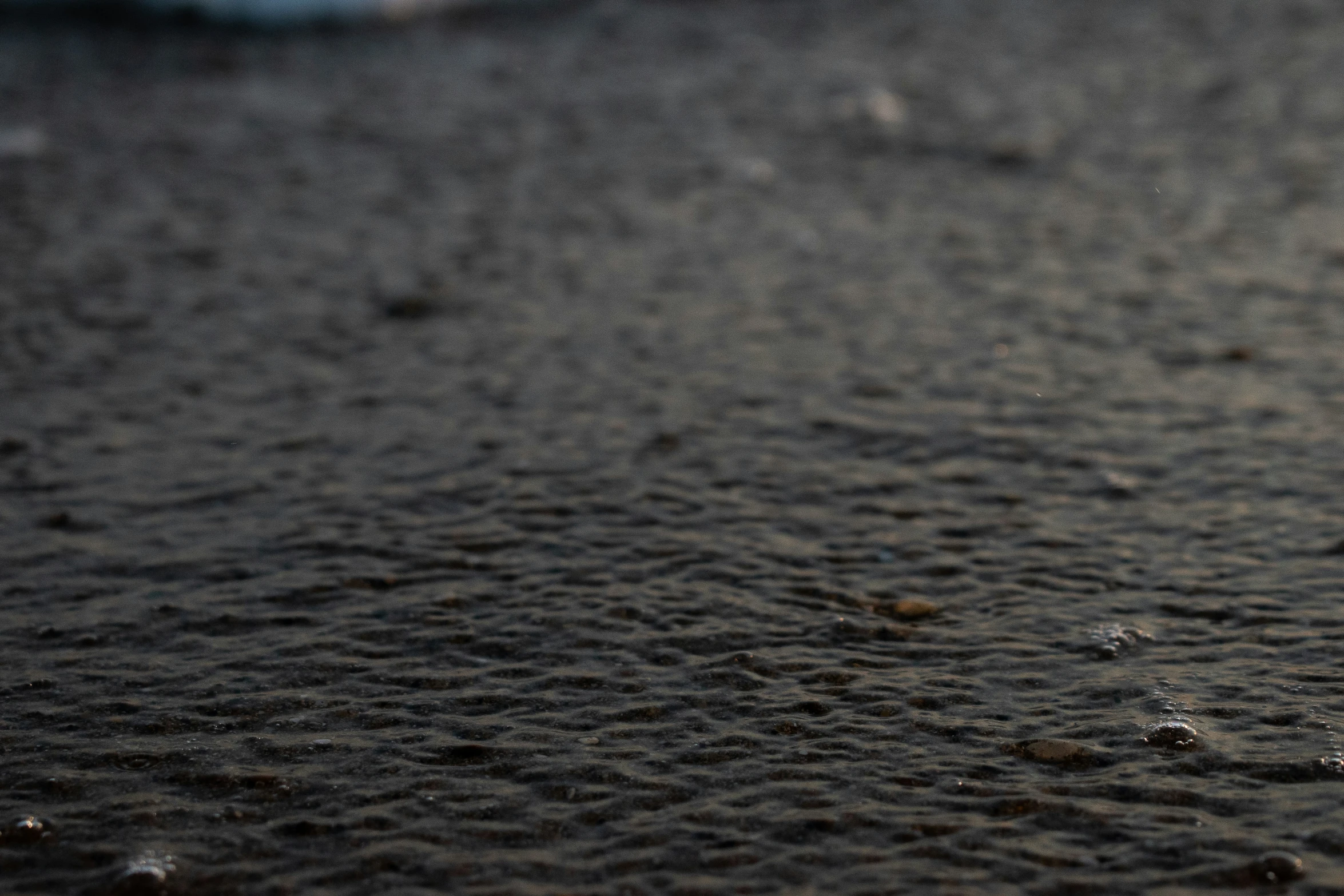 closeup of a beach sand with small shells at the end of it