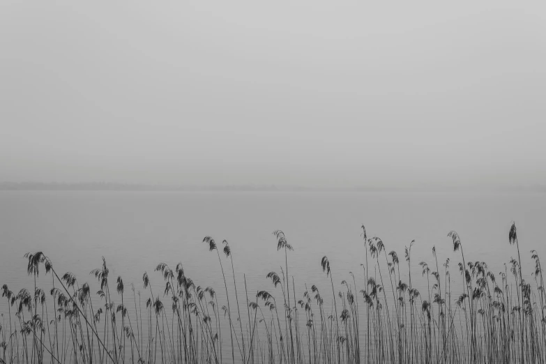 a foggy day over a large body of water