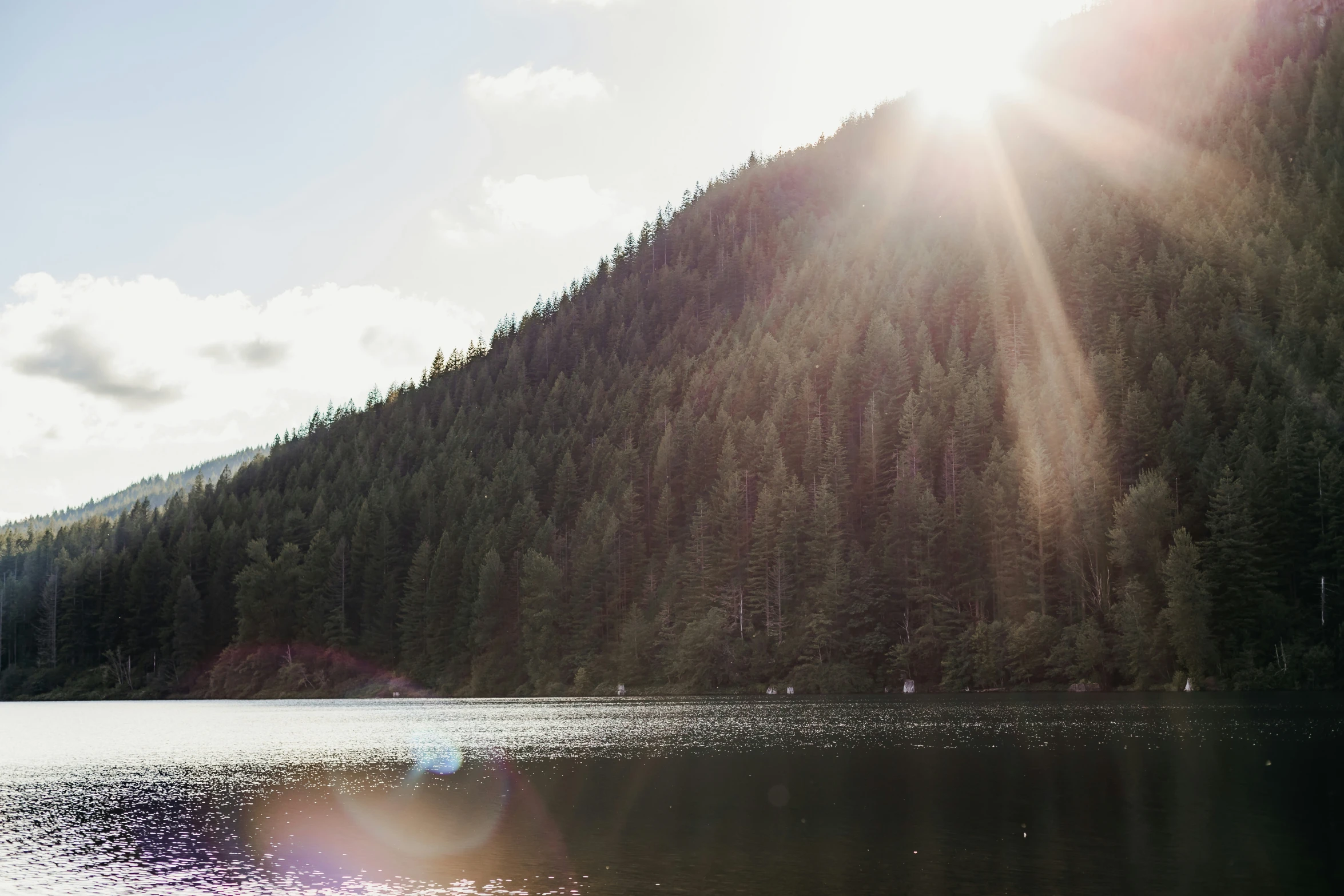 trees and sun reflecting in the water in front of a mountain