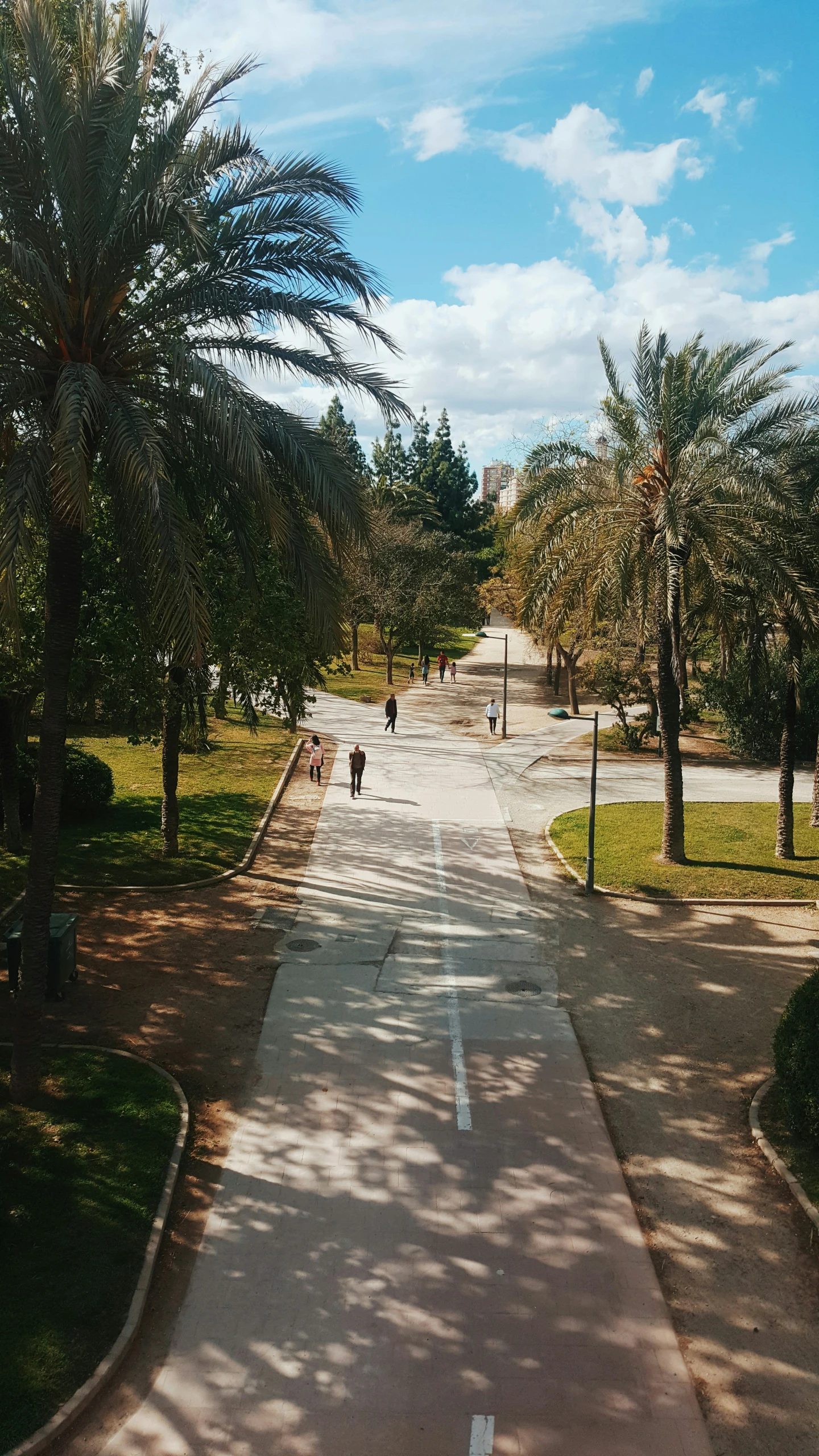 two people walk along a paved roadway between palm trees