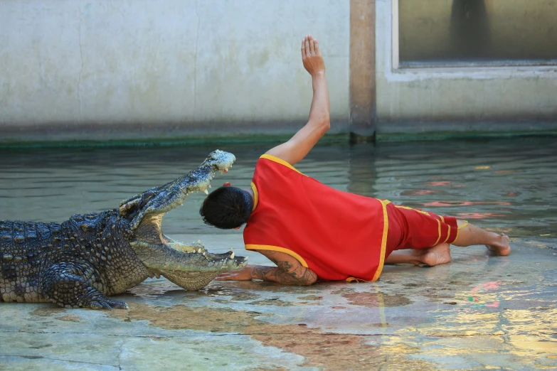 a  is petting an alligator