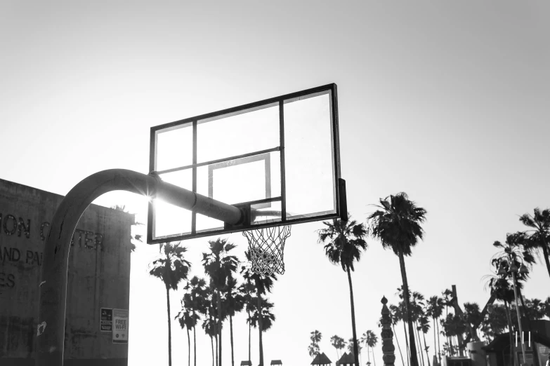 a basketball hoop with palm trees and a building in the background