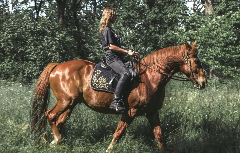 a woman that is sitting on a horse in the grass