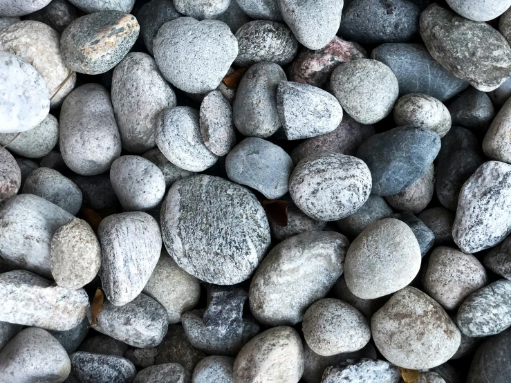 rocks are shown in closeup for this po