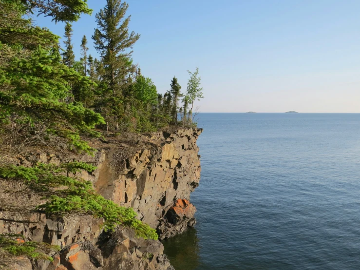 trees on the side of a cliff overlooking a body of water