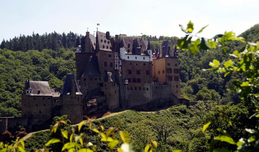 an old castle in the middle of the forest