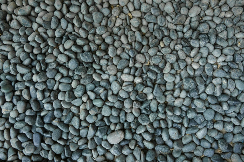 a group of pebbles on the ground with green moss