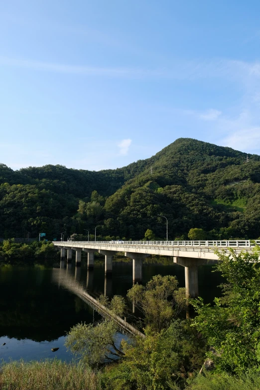 a bridge going across water surrounded by trees