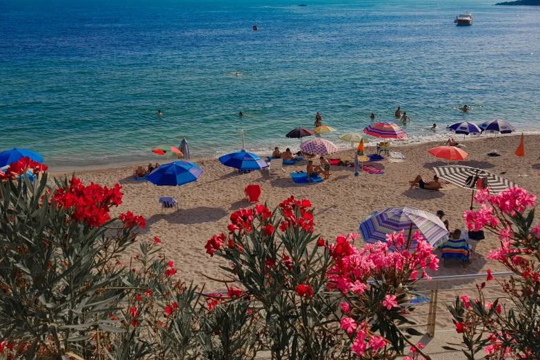 people are sitting and standing on the beach under umbrellas