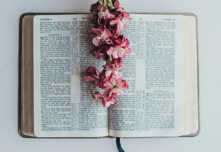 flowers on top of an open book