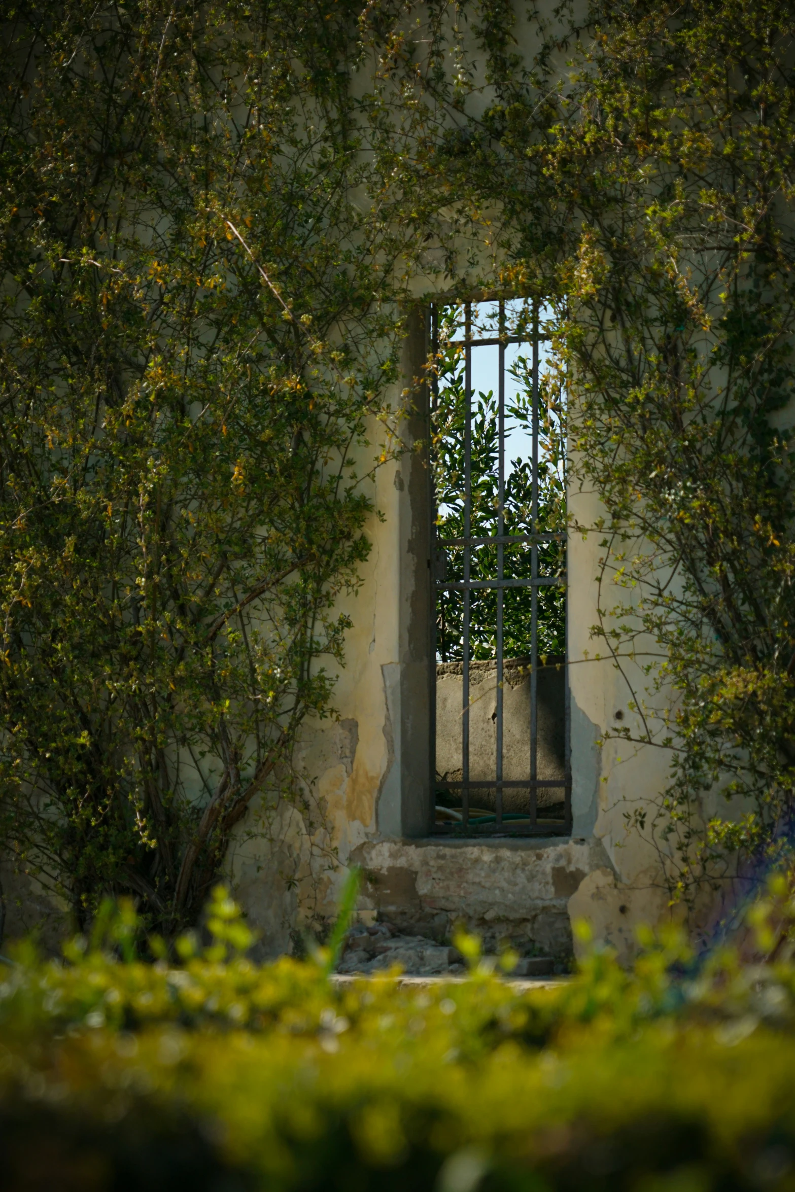 a window with bars at the bottom that is on a stone wall, surrounded by trees