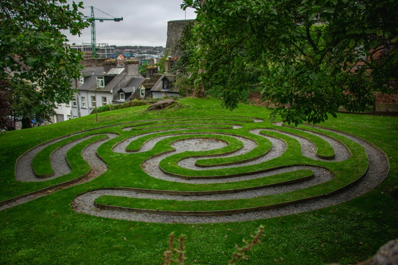 a large garden area with many spirally shaped plants