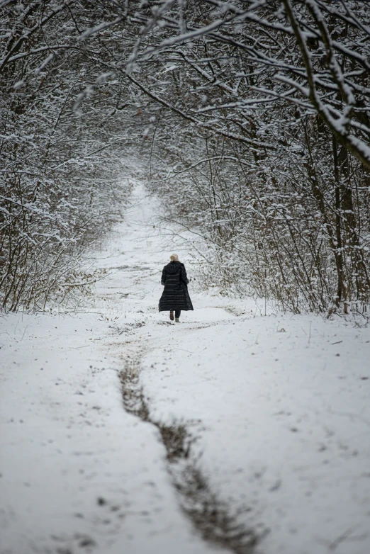 a woman walks on the snow covered path with no snow