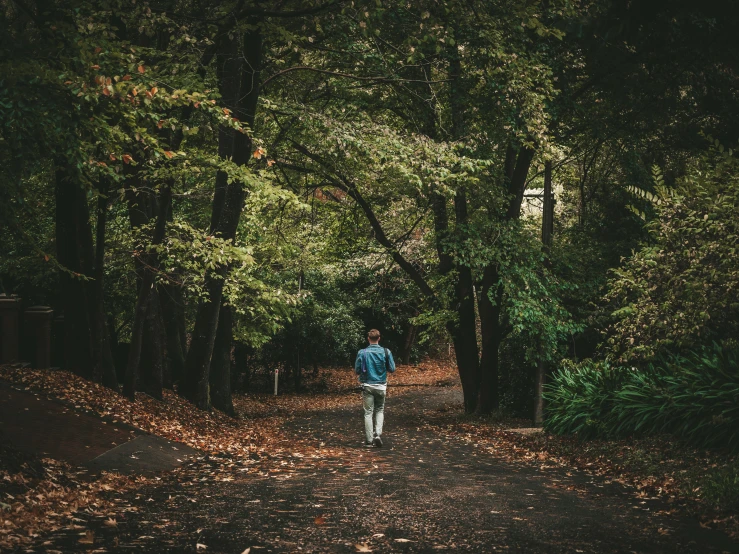 a man walks on a trail in the woods